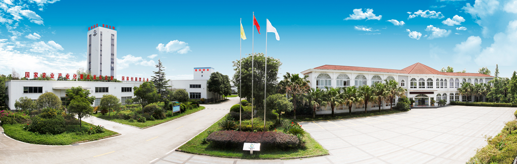 news04.jpg news04.jpg