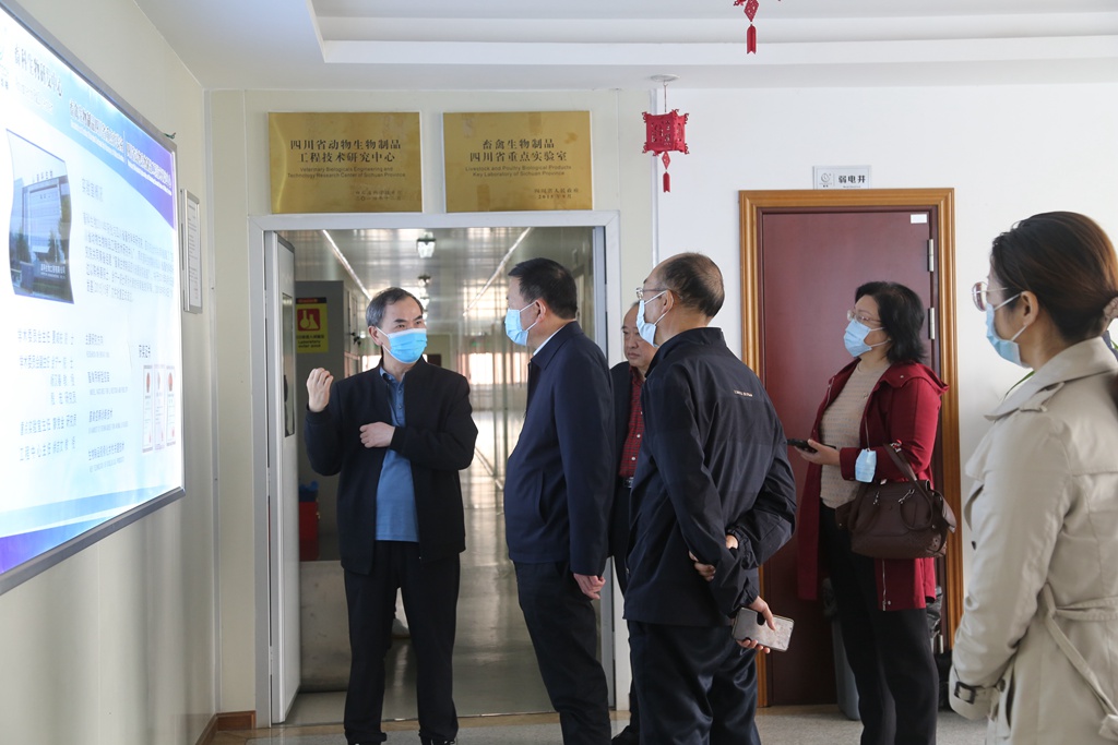 news01.jpg news01.jpg